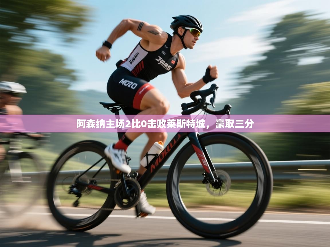 开云体育app官网入口-阿森纳主场2比0击败莱斯特城，豪取三分  第4张