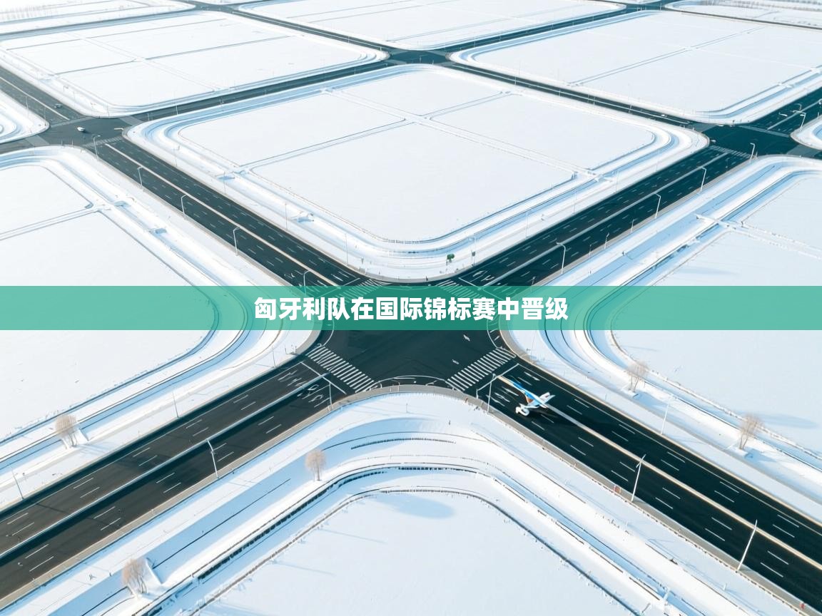 开云体育入口客服-匈牙利队在国际锦标赛中晋级