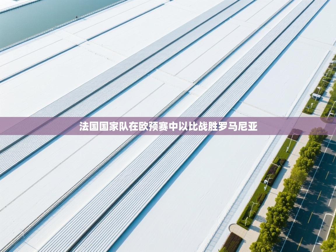 开云赛事直播-法国国家队在欧预赛中以比战胜罗马尼亚  第2张