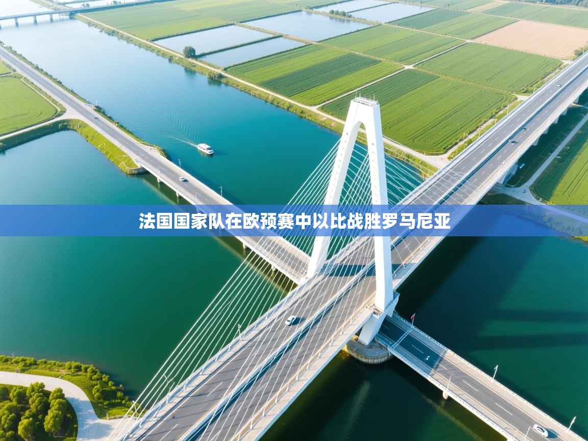 开云赛事直播-法国国家队在欧预赛中以比战胜罗马尼亚  第4张